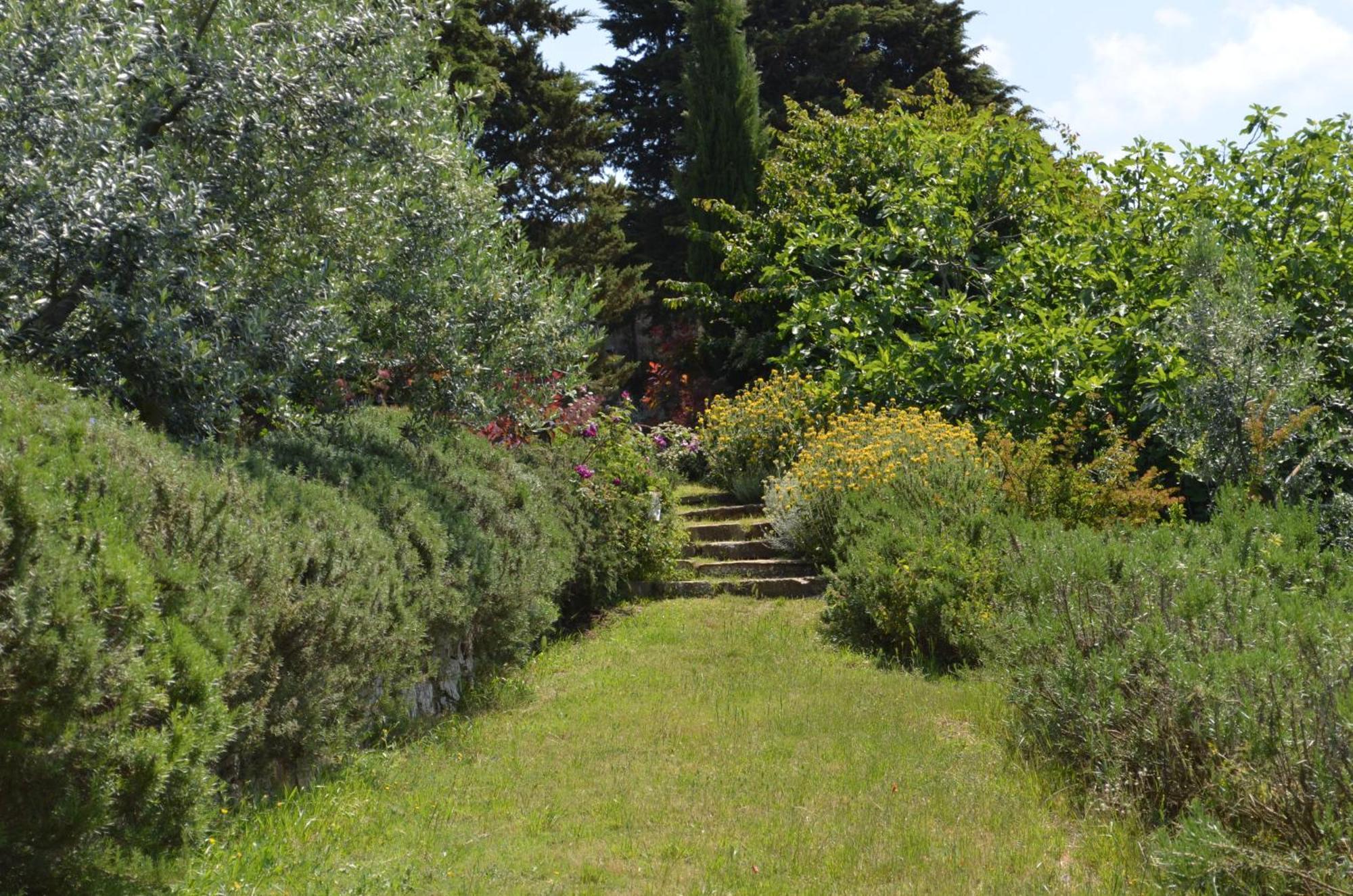 Casa Ercole Farm Stay Greve in Chianti Exterior photo