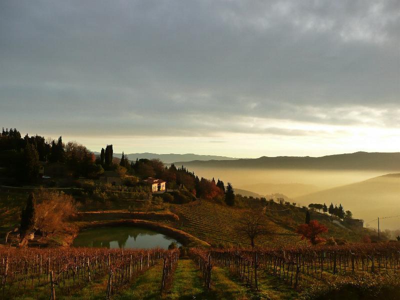 Casa Ercole Farm Stay Greve in Chianti Exterior photo