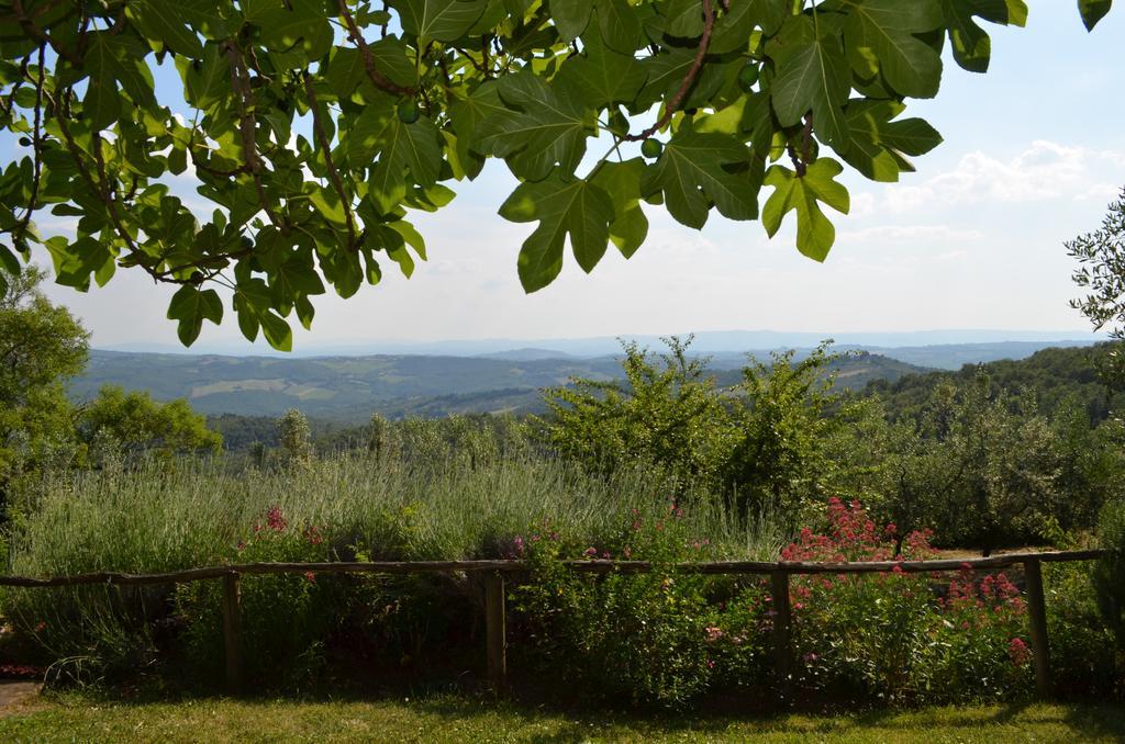 Casa Ercole Farm Stay Greve in Chianti Exterior photo