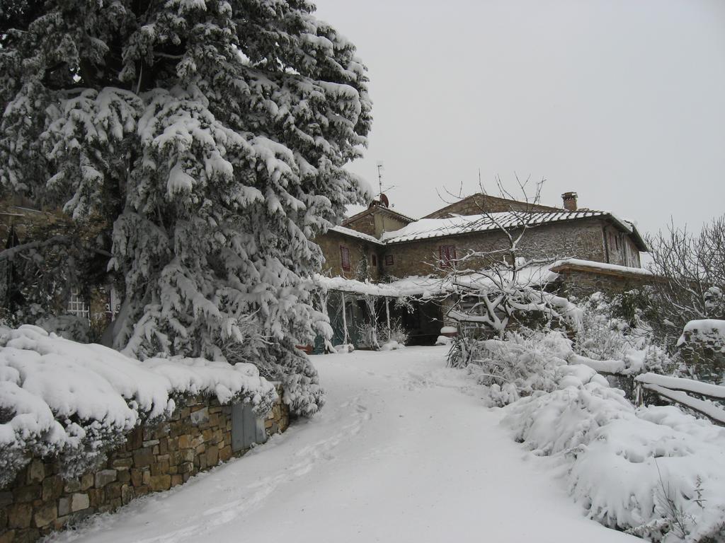 Casa Ercole Farm Stay Greve in Chianti Exterior photo