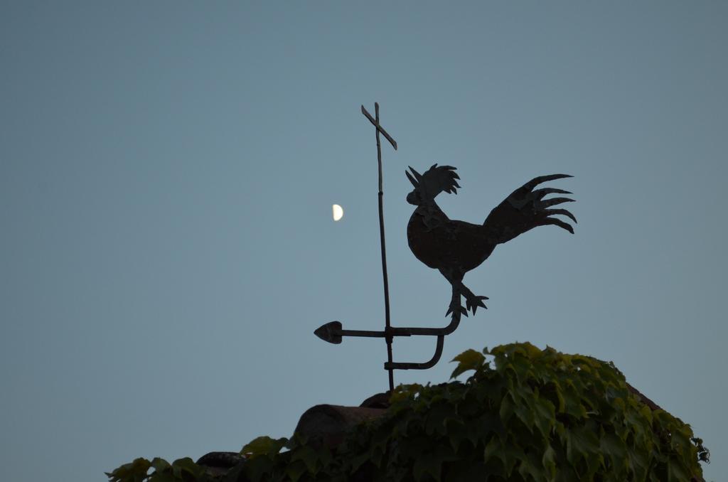 Casa Ercole Farm Stay Greve in Chianti Exterior photo